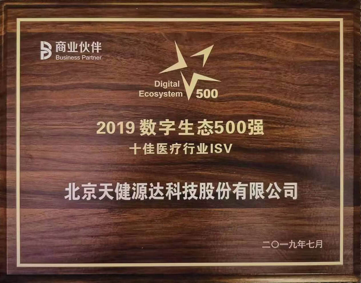 2019数字生态500强 十佳医疗行业ISV