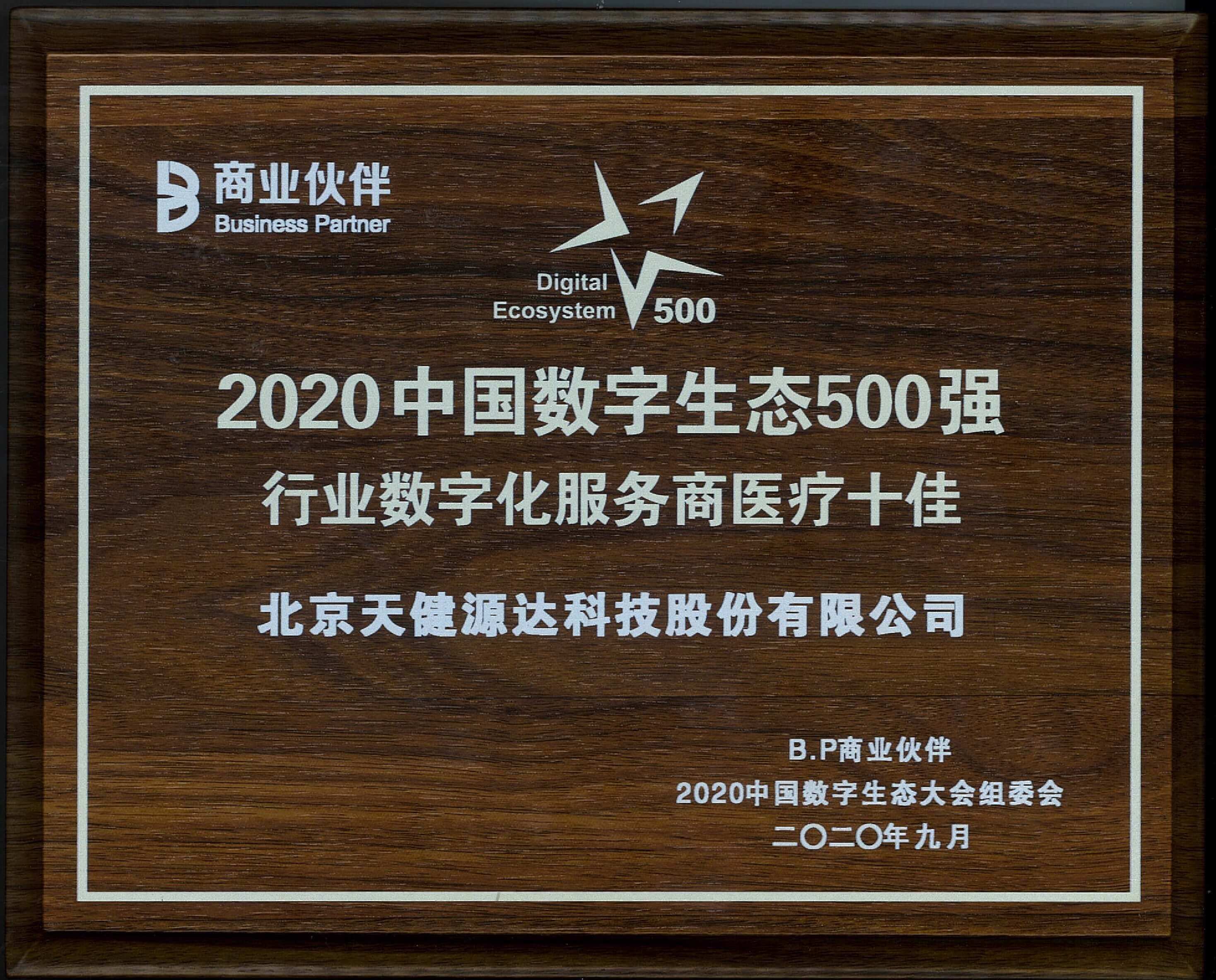 2020中国数字生态500强 行业数字化服务商医疗十佳