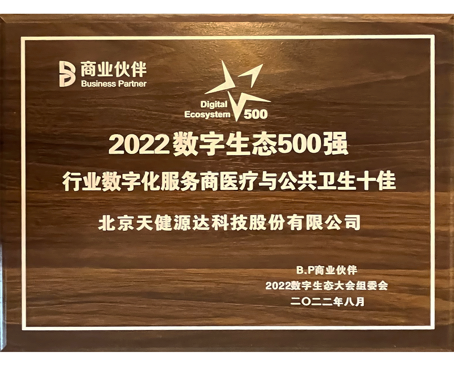 2022数字生态500强 行业数字化服务商医疗与公共卫生十佳